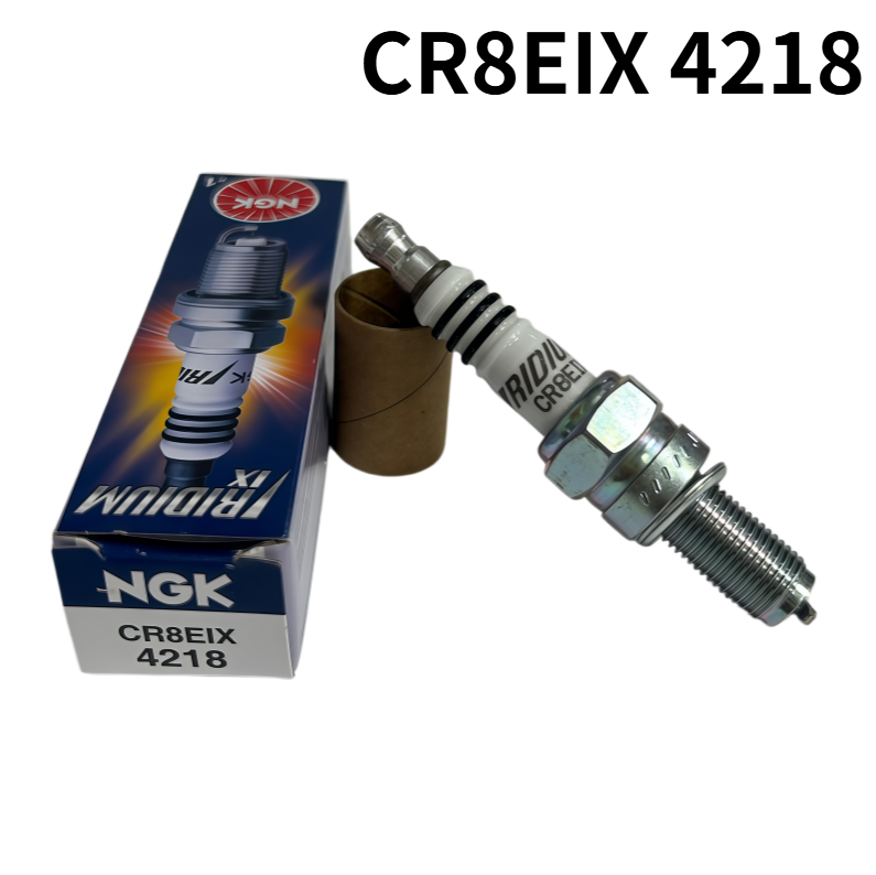 NGK 1PC CR8EIX 4218 Iridium IX - Ngk Spark Plug Iridium Ix review and price